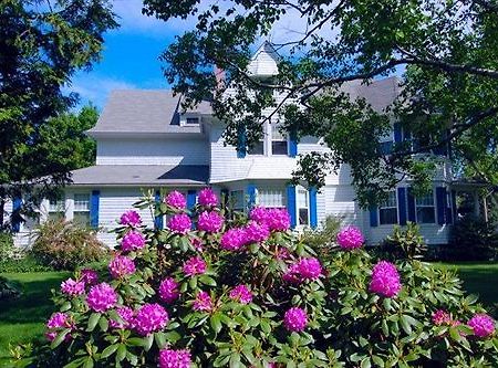 Atlantic Birches Inn B&B Old Orchard Beach Exterior photo