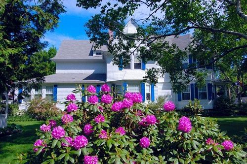 Atlantic Birches Inn B&B Old Orchard Beach Exterior photo